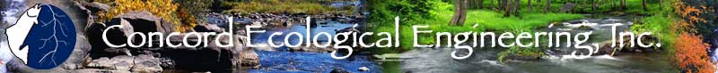 Concord Ecological Engineering Inc.